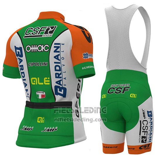 2018 Fietskleding Bardiani Csf Groen en Wit Korte Mouwen en Koersbroek